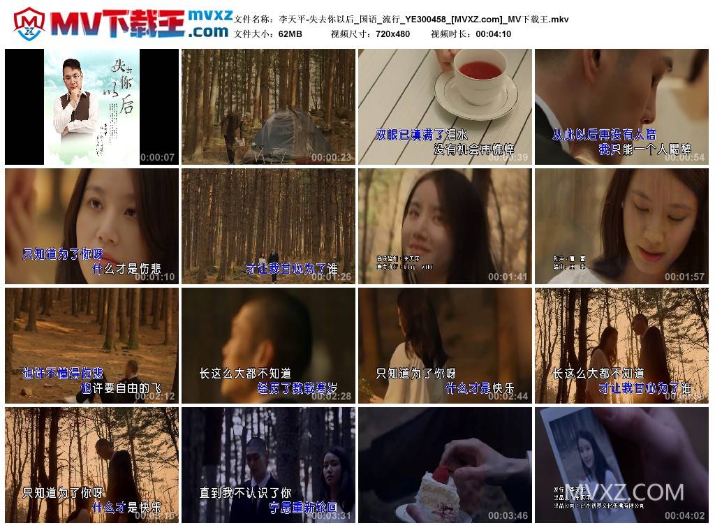 李天平-失去你以后_国语_流行_YE300458